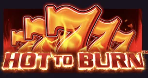 Hot to Burn - imagem do jogo