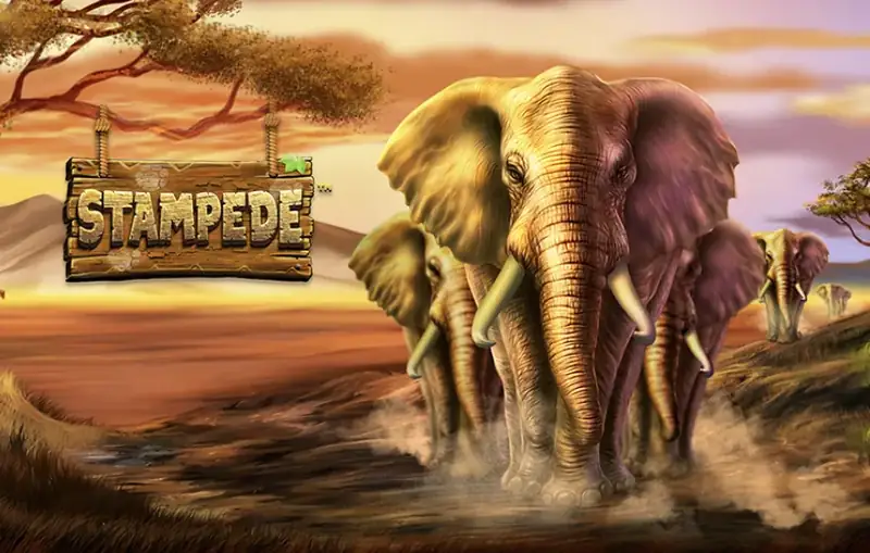 Stampede - imagem do jogo
